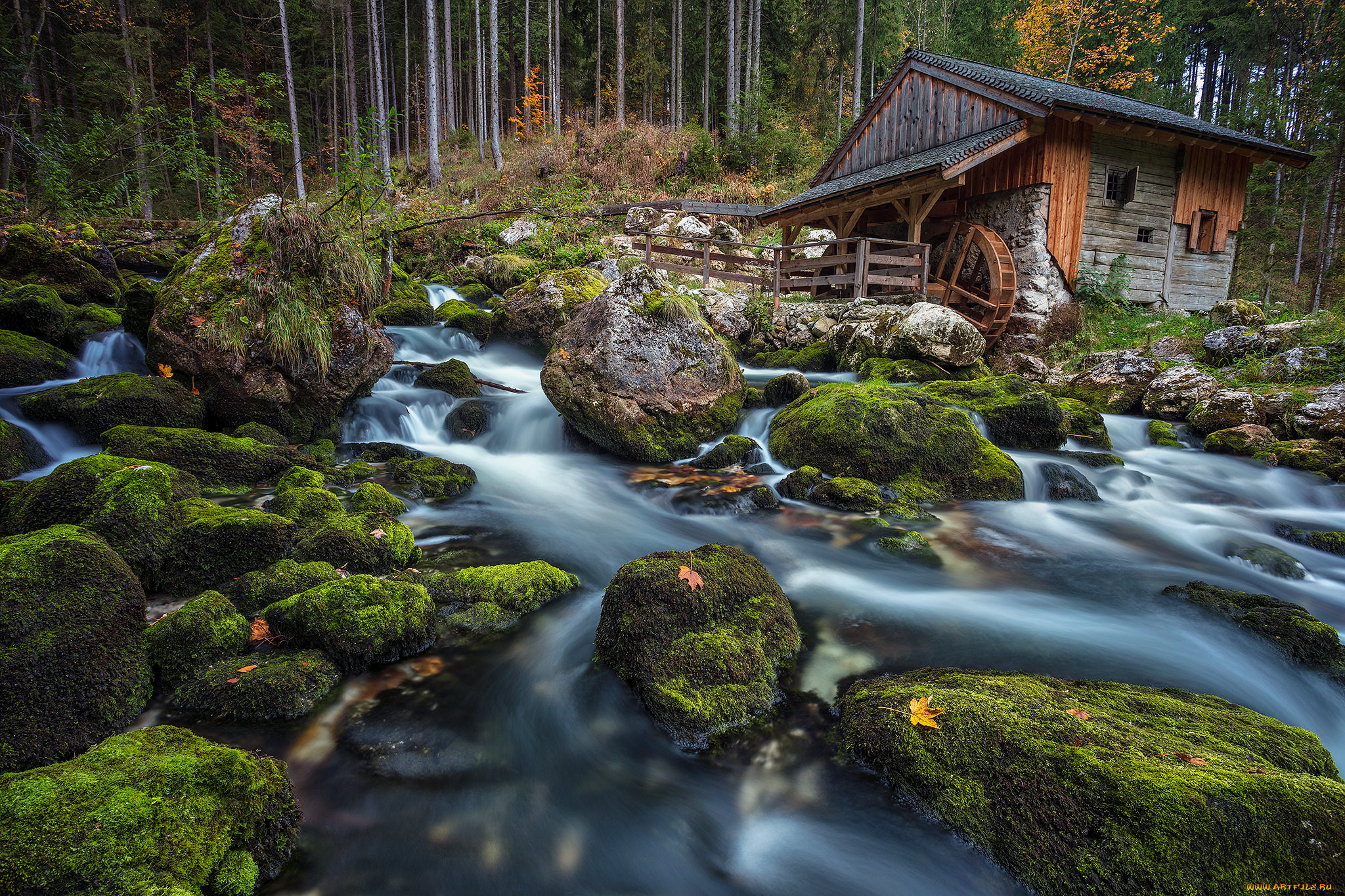 Фото старой мельницы на реке